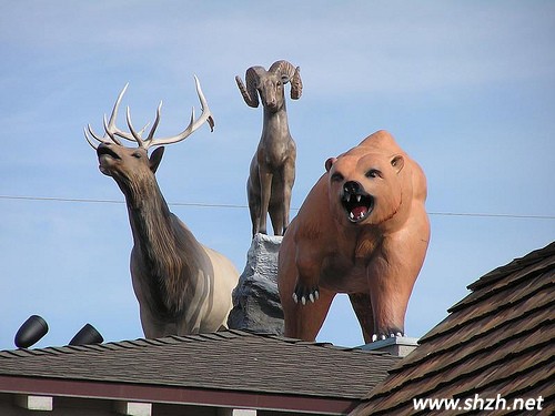 創(chuàng)意屋頂設計